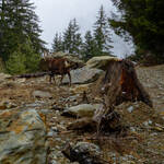 20160326-DSCF3777