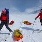 Logan Expedition 1046