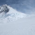 Logan Expedition 0297 