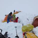Logan Expedition 0311