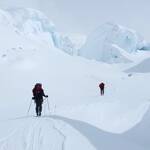 Logan Expedition 0402