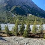 IMG 7740n (1500x376)