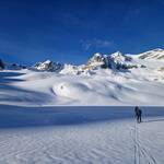IMG 2778 1