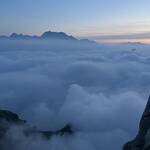 IMG 3835 5 pg