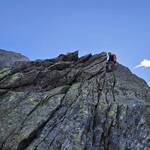 IMG 4772n