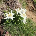 DSCF1143 w