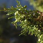 DSCF0766 (1024x576)